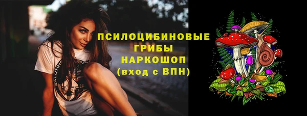не бодяженный Бородино