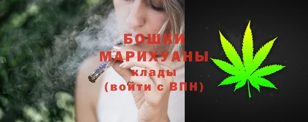 не бодяженный Бородино